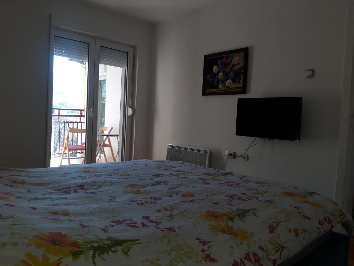 Apartment Goran And Milena Οχρίδα Εξωτερικό φωτογραφία